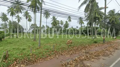 PHA7129: Huge Land Plot Very Close to Natai Beach. Fotoğraf #3