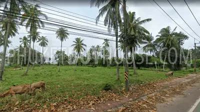 PHA7129: Huge Land Plot Very Close to Natai Beach. Fotoğraf #2