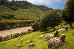 RAW22513: Exclusive Hillside Sea View Villa in Rawai. Thumbnail #60
