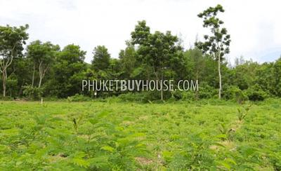 MAI6795: Plot of Land for Sale in Mai Khao area. Photo #2