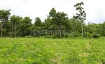 MAI6795: Plot of Land for Sale in Mai Khao area. Thumbnail #2