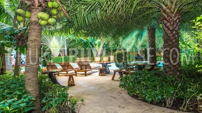 NAI7254: Two Bedroom Apartment with The Best Seaview in Nai Harn. Photo #13