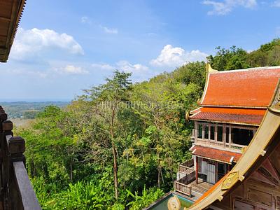 MAI7181: 6 rai of land with 4 Thai Style Houses in Mai Khao. Photo #3