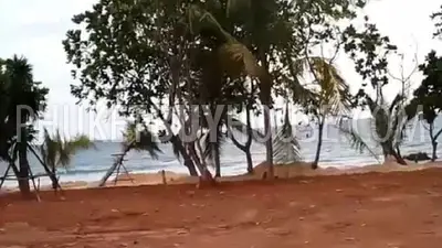 PHA22577: Secluded Beachfront Land in Phang Nga – 3,368 sqm of Tropical Potential. 照片 #5