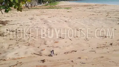 PHA22577: Secluded Beachfront Land in Phang Nga – 3,368 sqm of Tropical Potential. 照片 #2