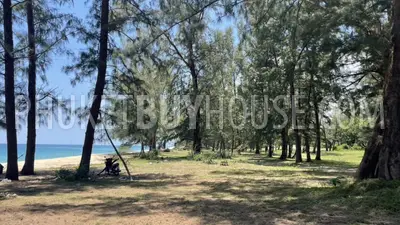 PHA22583: Pristine 78-Rai Beachfront Land for Sale at Bo Dan Beach - A Rare Investment Gem. 照片 #7