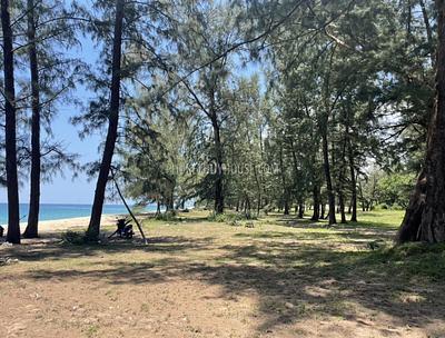 PHA22583: Pristine 78-Rai Beachfront Land for Sale at Bo Dan Beach - A Rare Investment Gem. 照片 #7
