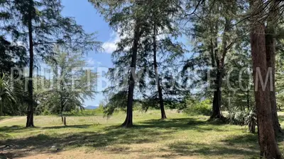 PHA22583: Pristine 78-Rai Beachfront Land for Sale at Bo Dan Beach - A Rare Investment Gem. 照片 #8
