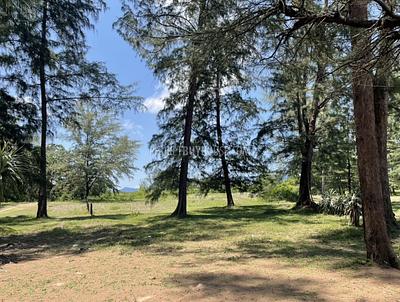 PHA22583: Pristine 78-Rai Beachfront Land for Sale at Bo Dan Beach - A Rare Investment Gem. 照片 #8