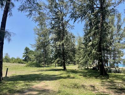 PHA22583: Pristine 78-Rai Beachfront Land for Sale at Bo Dan Beach - A Rare Investment Gem. 照片 #9