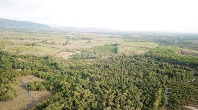 PHA22582: Prime 151-Rai Plot Near Nai Tai Beach – Ideal for Resort or Villa Development. 照片 #4