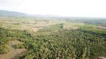 PHA22582: Prime 151-Rai Plot Near Nai Tai Beach – Ideal for Resort or Villa Development. Thumbnail #4