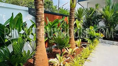 RAW7337: Five Bedroom Pool Villa in Rawai. Photo #5