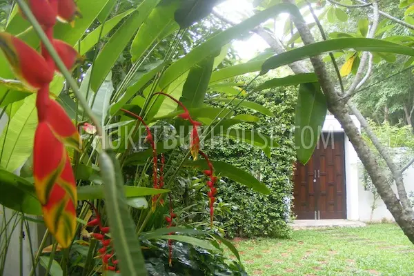 BAN1576: Laguna Area, 3 Bedroom Pool Villa 10,900,000THB (land 448m2) Beautiful, Quality, Perfect Family Home. Photo #12