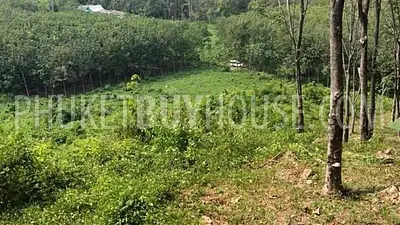 ISL6968: Plot of Land for Sale in Ko Yao Noi. Fotoğraf #7