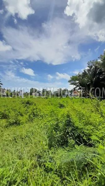 BAN6972: Plot of land in Bang Tao area. Photo #4