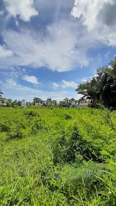 BAN6972: Plot of land in Bang Tao area. Photo #4