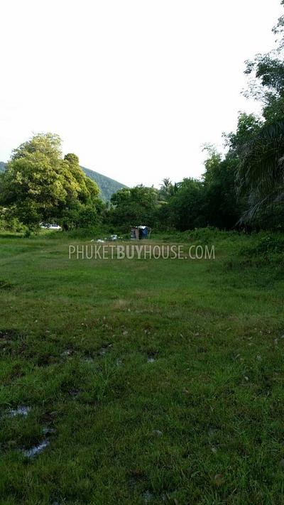 PHA6980: Plot of Land for Sale in. Photo #2