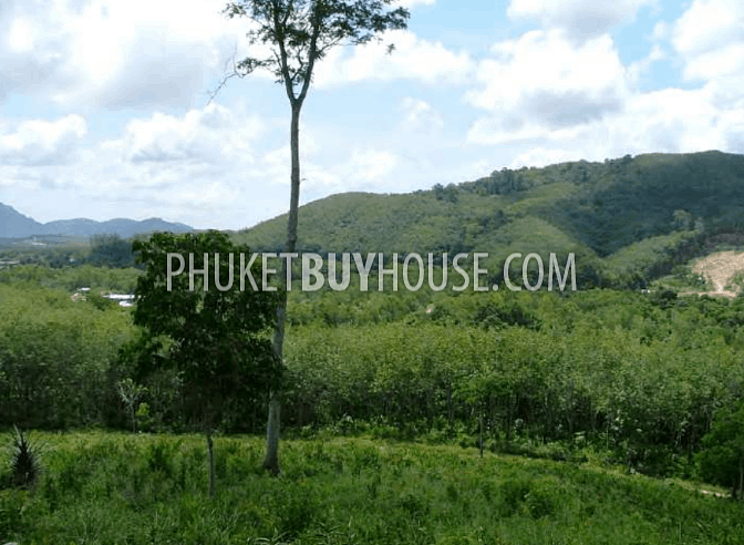 BAN6982: Plot of Land for Sale in Bang Tao area. Photo #3