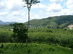 BAN6982: Plot of Land for Sale in Bang Tao area. Thumbnail #3