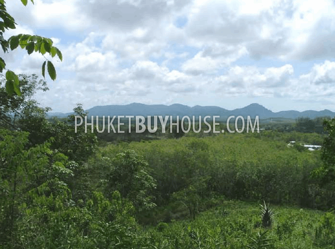 BAN6982: Plot of Land for Sale in Bang Tao area. Photo #4