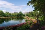 BAN21944: Magnificent Lakeview 1 Bedroom Condominium in Bang Tao. Thumbnail #13