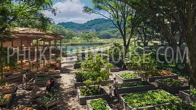 BAN21944: Magnificent Lakeview 1 Bedroom Condominium in Bang Tao. 照片 #19