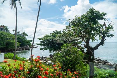 KAM7001: Apartments for Sale in Kamala Beach Area. Photo #23