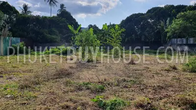CHA7058: Plot of Land For Sale in Chalong. 照片 #2