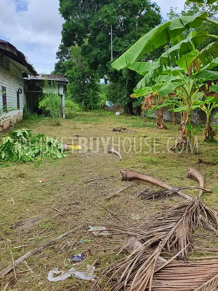 CHA7058: Plot of Land For Sale in Chalong. Photo #3
