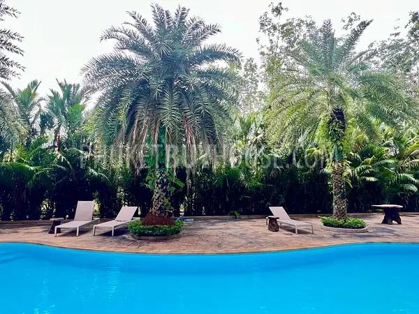 MAI21907: Cozy 1 Bedroom Condo In Mai Khao. 照片 #24