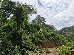 KAT22405: Panoramic Sea View Land for Sale in Karon, Kata Beach. Thumbnail #8