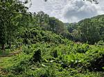 KAT22405: Panoramic Sea View Land for Sale in Karon, Kata Beach. Thumbnail #9