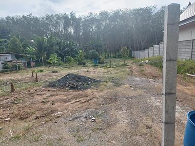 TAL22419: Spacious 958 SQM Land Plot in Thalang – Prime Location for Your Dream Villa. 照片 #3