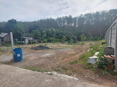 TAL22419: Spacious 958 SQM Land Plot in Thalang – Prime Location for Your Dream Villa. 照片 #4