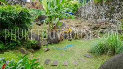 PAT7099: Glorious Villa with 5 bedrooms in Patong. Photo #32