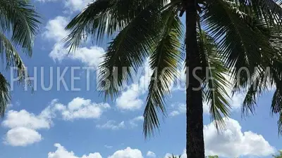 LAG22696: Elegant 4-Bedroom Villa with Private Pool in Laguna. 照片 #44
