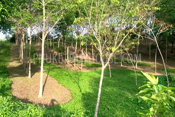 LAY22734: Mountain View Land for Sale in Layan, Thalang, Phuket. Fotoğraf #4