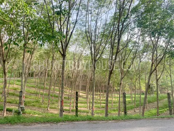 LAY22734: Mountain View Land for Sale in Layan, Thalang, Phuket. Fotoğraf #7