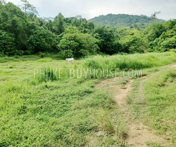 LAY22735: Green-Zone Land for Sale in Layan, Phuket. Fotoğraf #6