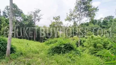 LAY22735: Green-Zone Land for Sale in Layan, Phuket. Photo #7