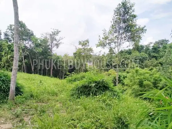 LAY22735: Green-Zone Land for Sale in Layan, Phuket. Fotoğraf #7