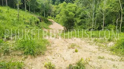 LAY22735: Green-Zone Land for Sale in Layan, Phuket. Photo #8