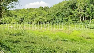 LAY22735: Green-Zone Land for Sale in Layan, Phuket. Photo #9