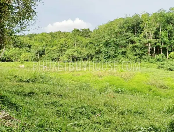 LAY22735: Green-Zone Land for Sale in Layan, Phuket. Fotoğraf #9