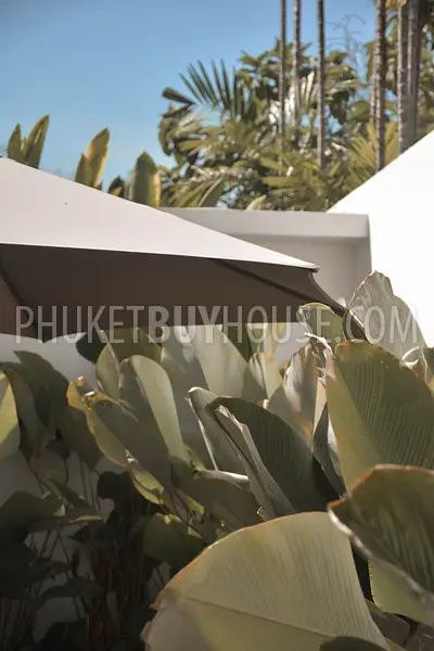BAN22748: 3 Bedroom Pool Villa Sanctuary with Spacious Plot in Prestigious Bang Tao. Photo #41