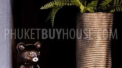 MAI22757: Newly Renovated Contemporary 30 Sq.m Designer Apartment Near Mai Khao Beach. Photo #30