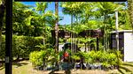 NAI22660: Elegant Pool Villa with Bar Lounge & Tropical Ambience in Nai Harn. Thumbnail #43