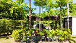NAI22660: Elegant Pool Villa with Bar Lounge & Tropical Ambience in Nai Harn. Thumbnail #35