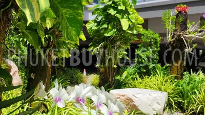BAN22059: Studio for Sale With Tempting Price in Bang Tao. 照片 #21